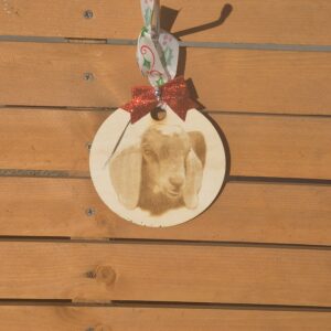 Wooden Goat circle ornament