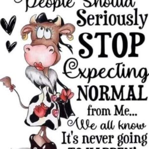 Stop Expecting Normal
