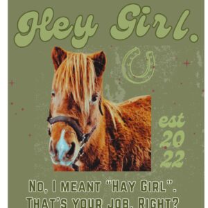 Hay Girl! - Welsh Pony Amanda