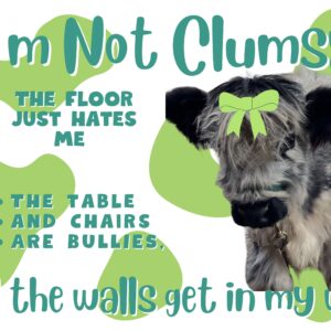 I'm not Clumsy - Panda