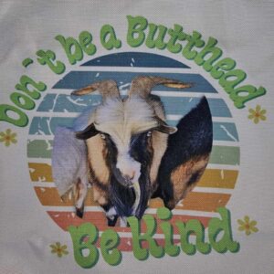 Don't be a Butthead - MJ