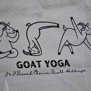 Goat Yoga - drawing