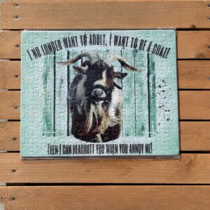 I Don't Want to Adult- Phoenix