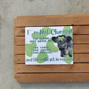 I'm not clumsy -puzzle